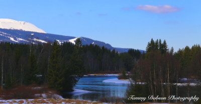 IMG_2350 copy.jpg