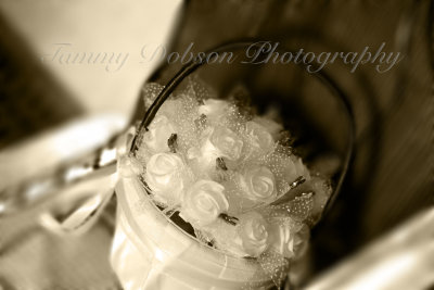 IMG_2736 copy6D.jpg