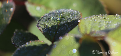g9/27/1110227/3/156946348.kh7SLMTC.jpg