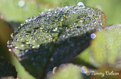 g9/27/1110227/3/156946349.fY3dJWne.jpg