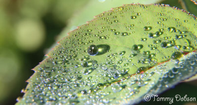 g9/27/1110227/3/156946351.OYbmNxJ2.jpg