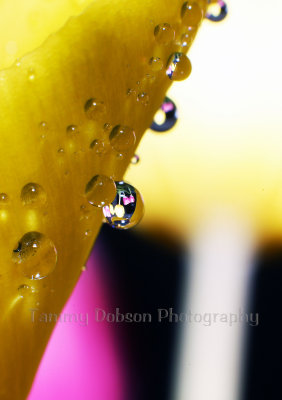 g9/27/1110227/3/156946356.qDsXr9nw.jpg