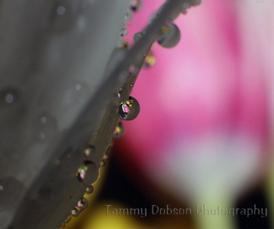g9/27/1110227/3/156946357.gAiB17ND.jpg