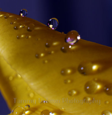 g9/27/1110227/3/156946360.V4eWjIN8.jpg