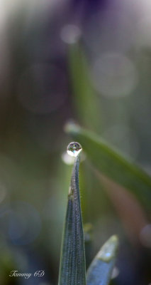 g9/27/1110227/3/156946373.M84cDdTK.jpg
