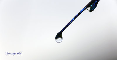 g9/27/1110227/3/156946378.8n3VH6Vi.jpg
