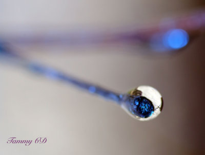 g9/27/1110227/3/156946379.AXgzziFO.jpg