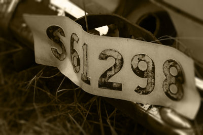 g9/27/1110227/3/158724911.LT4qhR08.jpg