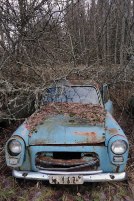 g9/27/1110227/3/158724918.F2mlOzpg.jpg