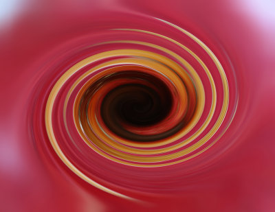 Food Twirls
