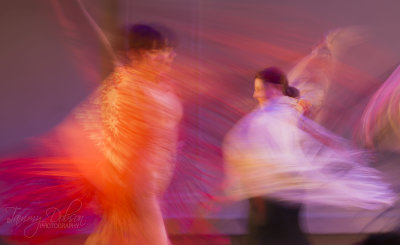 VENGO Flamenco Show