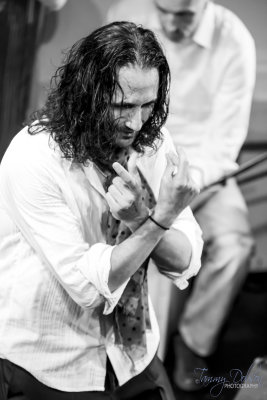 VENGO Flamenco Show