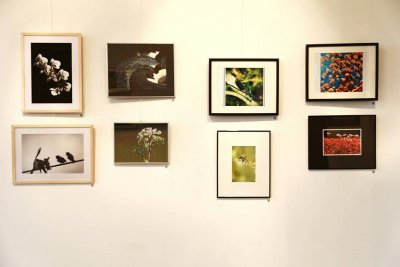 Exhibition Wanum'Art photoclub 2013