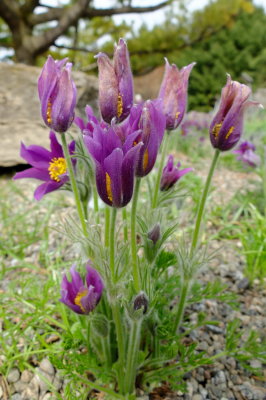 DSCF4031.JPG