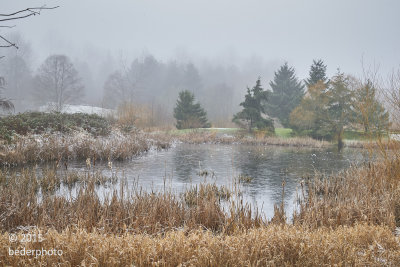 lightly frozen pond 