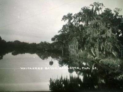 Whitaker Bayou, unknown date 1.jpg