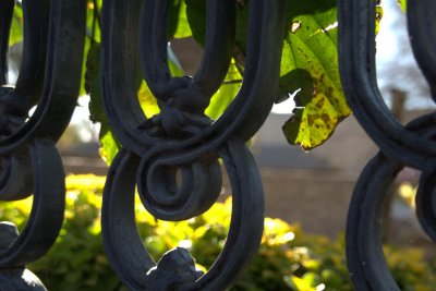 Fencing, Leaves