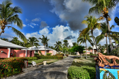 DSC_4201.jpg