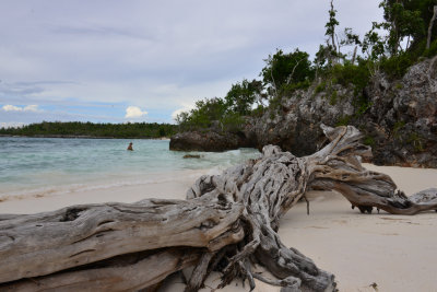 DSC_4270.jpg