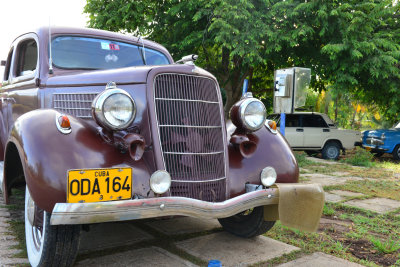 DSC_4295.jpg