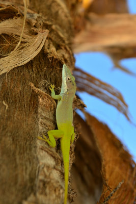 DSC_4568.jpg