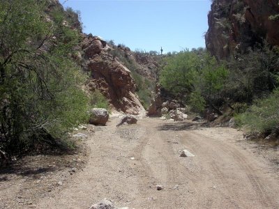 DSCN4587 (Medium).JPG