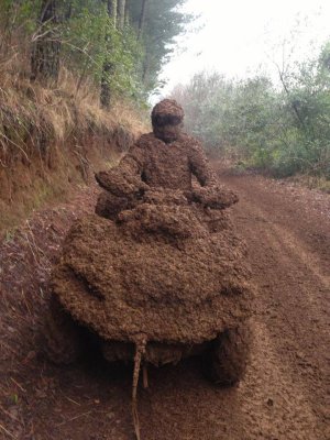 mud.jpg