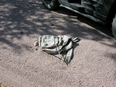 DSCN4647.JPG