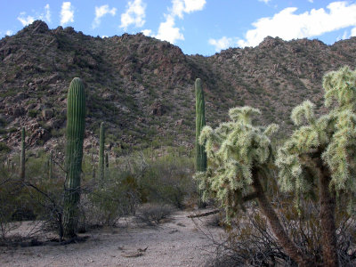 DSCN4649.JPG
