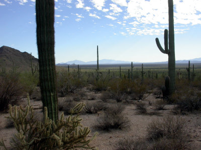 DSCN4650.JPG