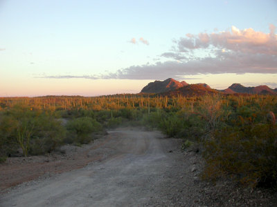 DSCN4654.JPG