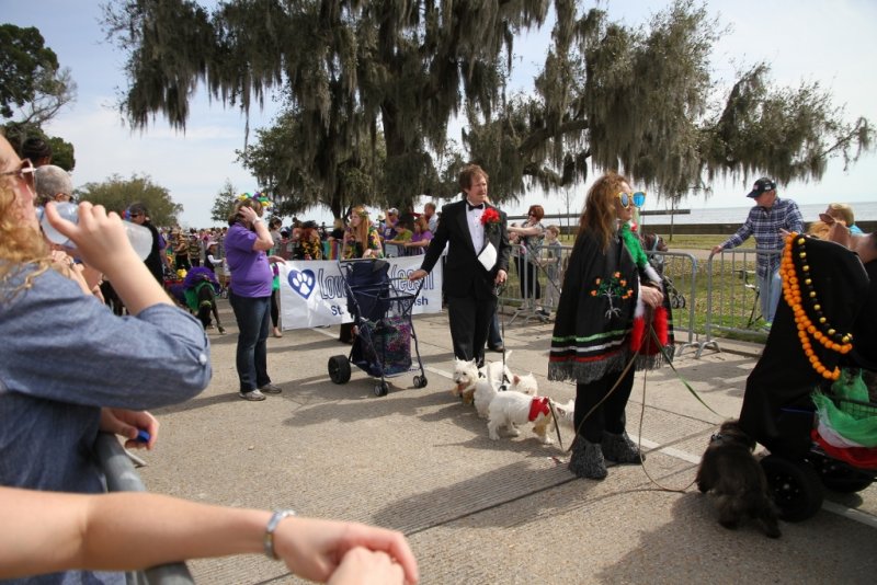 dog parade (20).jpg
