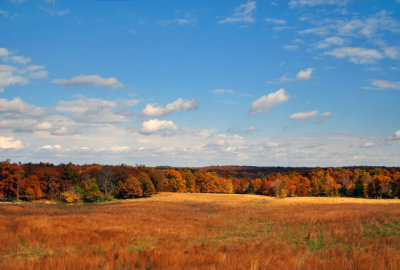 Autumn Colors