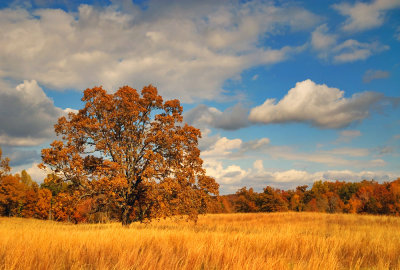 Land Between the Lakes 