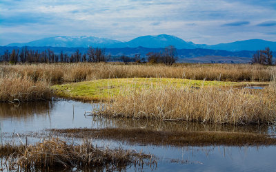 Sacramento NWR