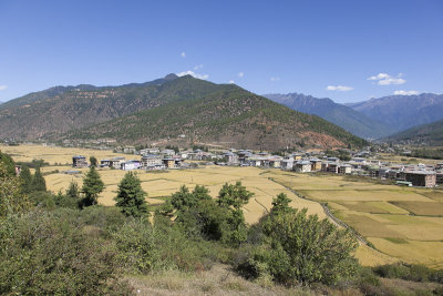 Looking down on the town of Paro