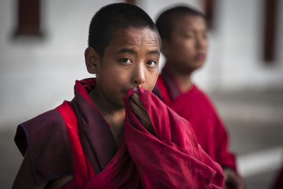Boy monk