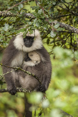 Mother and baby