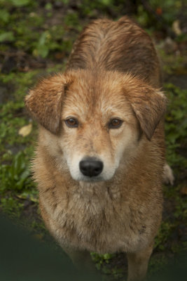 A recurring theme, Got any food?