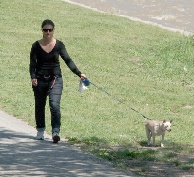 On a Leash 2