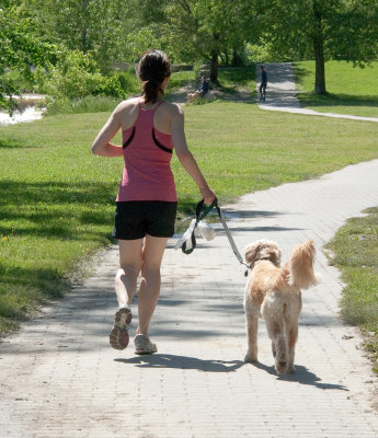 On a Leash 3
