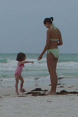 ....meanwhile, back at the beach....