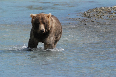 Katmai