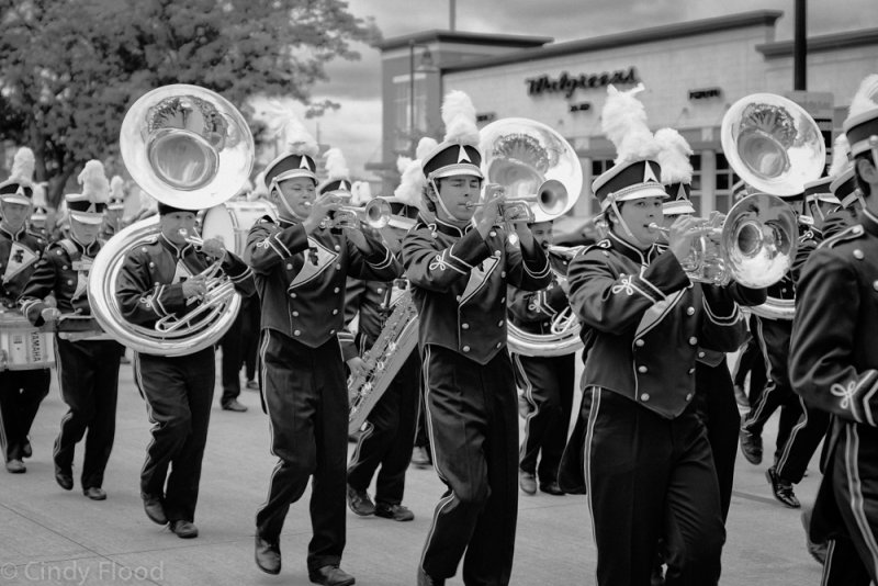 Brass- for Hal