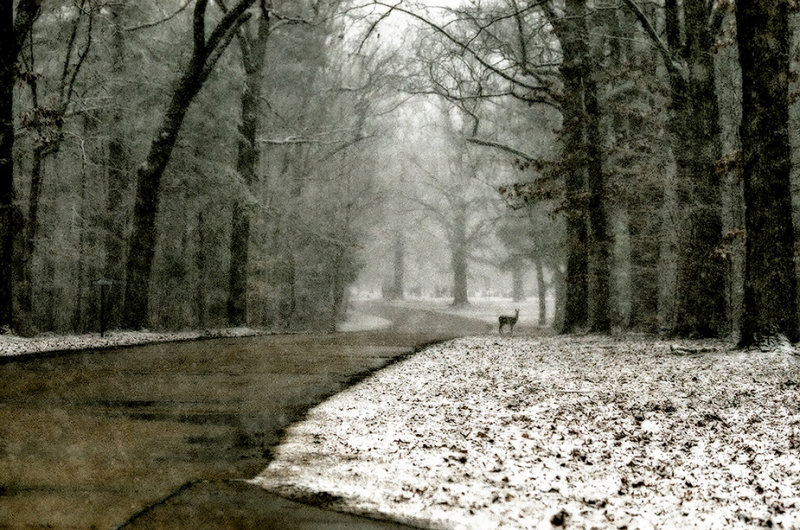 The Darkest Evening of the Year