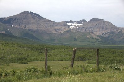 A Part of my Alberta