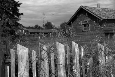 Abandoned farmyard