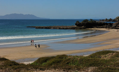 Tawharanui Regional Park is set on a remote peninsula in the northern Hauraki Gulf, north of Auckland. It has beautiful white sand beaches, rolling pastures, shingled bays, native coastal forest and regenerating wetlands.