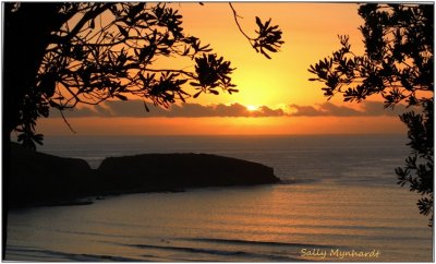 This picture of Killalea Beach was taken at sunrise.
Hal and I had breakfast at the picnic area, above this lovely beach.
Some years ago this was a dairy farm. The owners charged the surfers two dollars to access their beach.