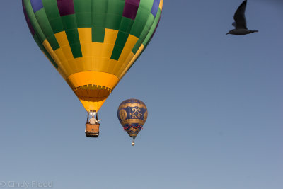 Lake Havasu City Balloon Fest 2014